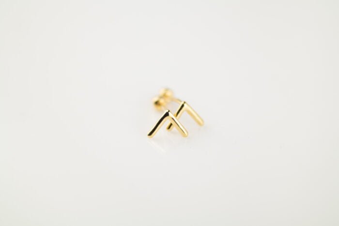 PAR BROQUEL KANTE PLATA BAÑO ORO FLECHA LISA - Imagen 3